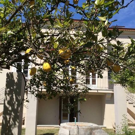 Villa Caterina Sapri Kültér fotó